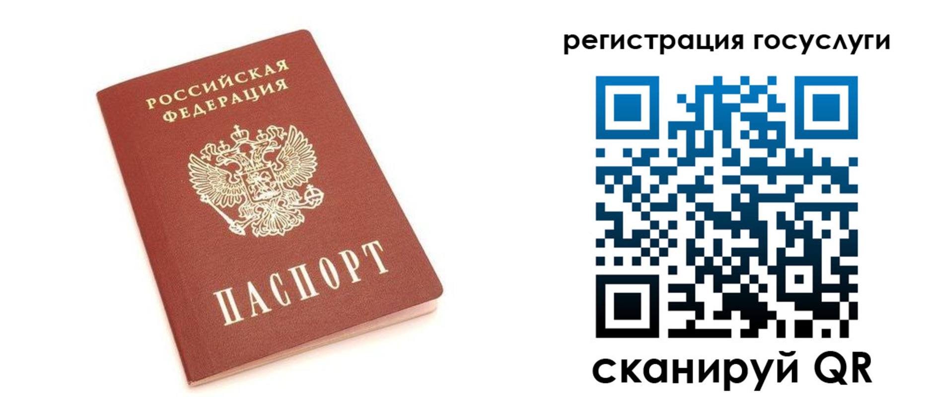 прописка 2025 в Мурманской области
